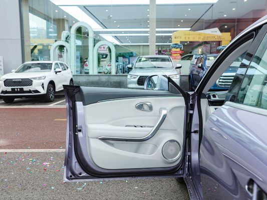 2024 Long Range Versie 500 km Interieur Luxe Rijden Soepel Ora Goede Cat Mini Ev Elektrische Auto