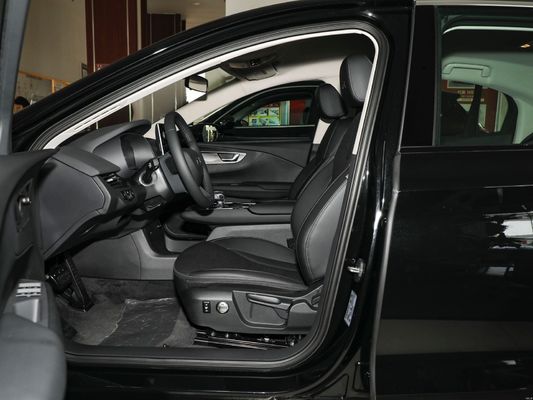 Hongqi E-qm5 E-hs9 De geavanceerde 4-deurs 5-zits hatchback met ijzerfosfaatbatterij