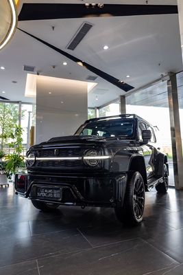 Maximaal vermogen Ps 150-200Ps De beste tank 300 voor off-road avonturen