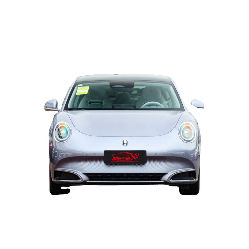 2024 Long Range Versie 500 km Interieur Luxe Rijden Soepel Ora Goede Cat Mini Ev Elektrische Auto